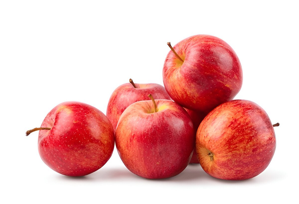 Gala Apple