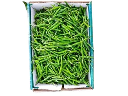 Green chilly G4 